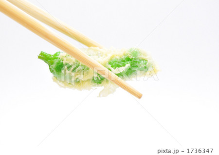 天ぷら 1736347