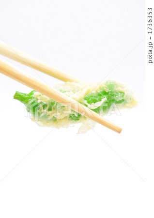 天ぷら 1736353