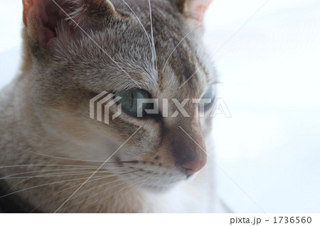 1736560