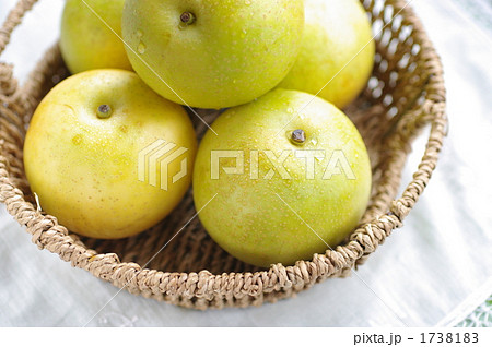 二十世紀梨 1738183