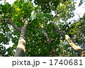 1740681