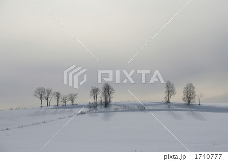 雪原と雪雲の美瑛の丘 1740777