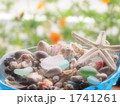 夏のかけら 1741261