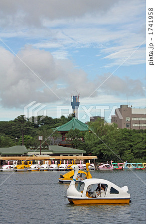 スワンボートと東京スカイツリーの写真素材