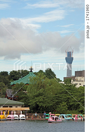 不忍池と東京スカイツリー 1741960