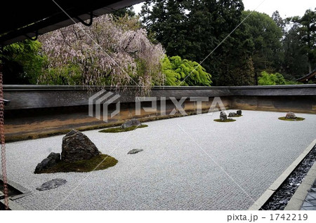 竜安寺石庭としだれ桜 1742219