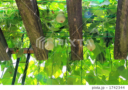 ひょうたん 1742344