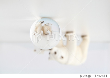 白熊親子 1742811