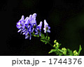 1744376