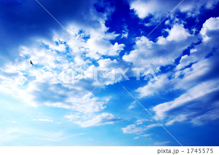 青空を舞う 1745575