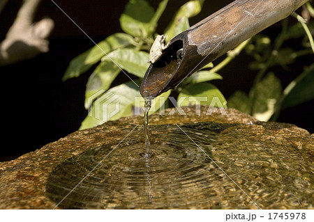カエルとつくばい 1745978