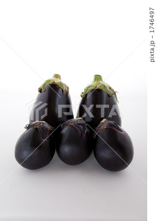 米ナスと賀茂ナス 米ナスと賀茂ナス 1746497