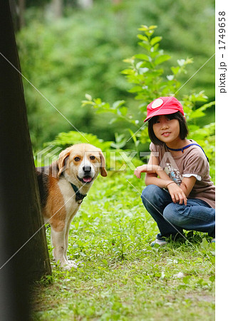 キャンプ場の犬と遊ぶ 1749658
