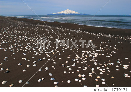 貝殻と利尻富士 02 貝殻と利尻富士 02 1750171