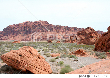 ネバダの赤い荒野 1750985