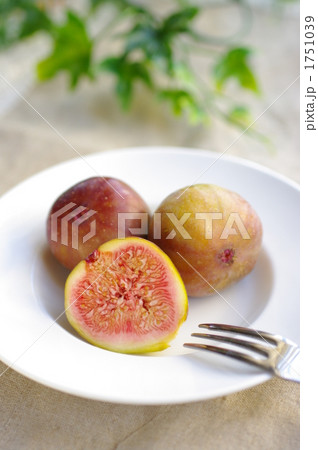 無花果 1751039