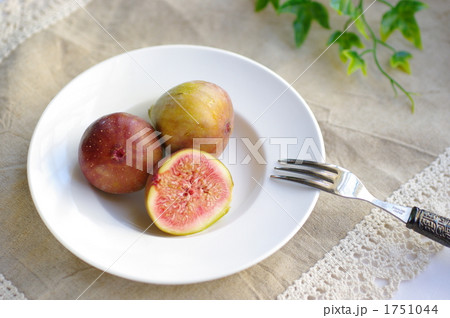 無花果 1751044