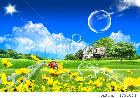 花園草地_K_421713 1751051