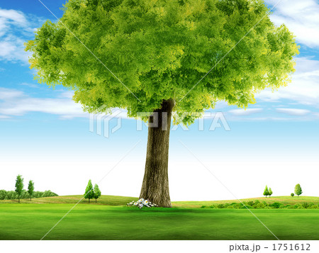 木野原_k_790880 1751612