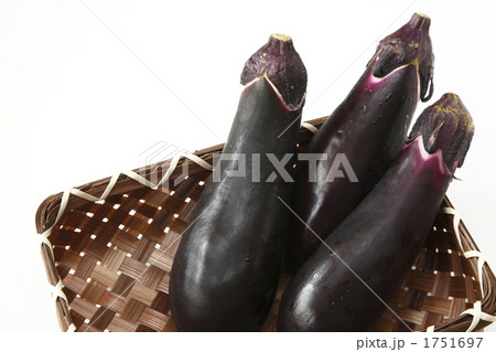 茄子 茄子 1751697