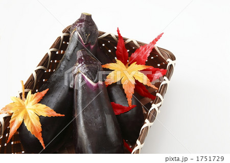 茄子 茄子 1751729