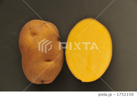 インカのめざめ肉色 インカのめざめ肉色 1752150