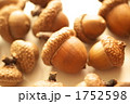 どんぐりいっぱい2 どんぐりいっぱい2 1752598