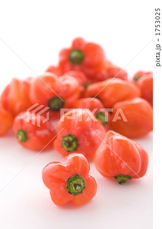 ハバネロコロコロ 1753025