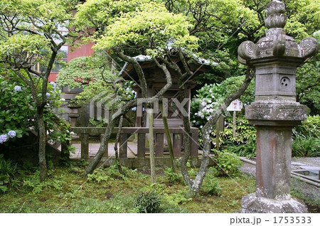 鎌倉において唯一尼寺の英勝寺を訪れて 1753533