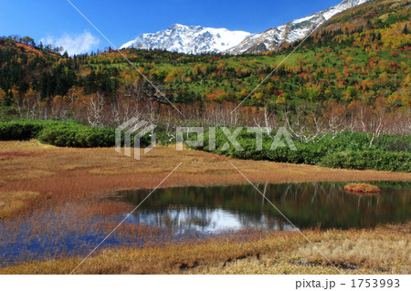 秋の栂池高原 1753993