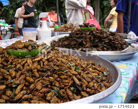 タイ　スリン　屋台　虫料理 1754623