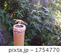 1754770