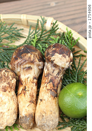 まつたけ　⑬ 1754906