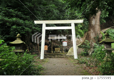 日本有数のパワースポット白山神社の鳥居 1755595
