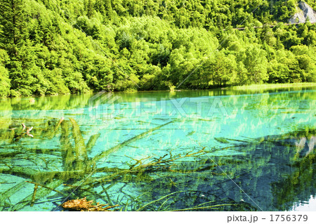 世界遺産九寨溝の五花海 1756379