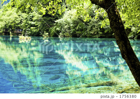 世界遺産九寨溝の五花海 世界遺産九寨溝の五花海 1756380