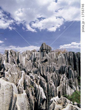 昆明郊外の石林 1756746