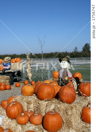 ハロウィン 1756747