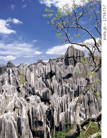 昆明郊外の石林 1756757