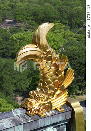 大阪城金の鯱の写真素材