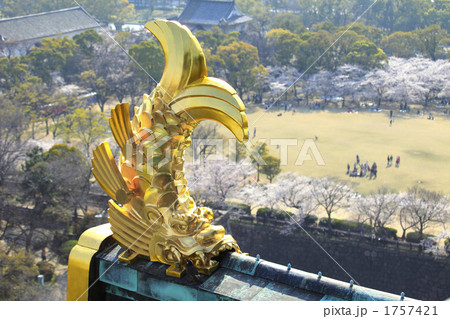 大阪城金の鯱 1757421