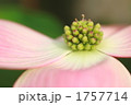 1757714