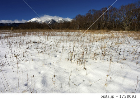 雪原に残る足跡 雪原に残る足跡 1758093