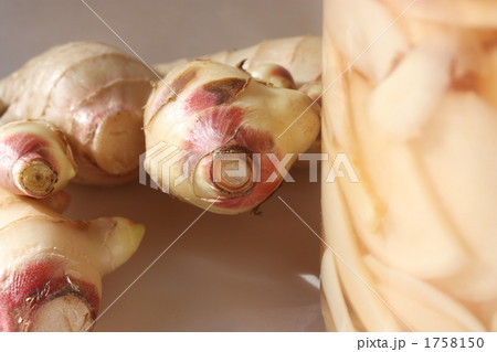 生姜と生姜の酢漬け 1758150