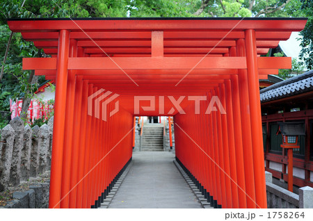 稲荷神社の鳥居 稲荷神社の鳥居 1758264