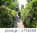 生け垣と小路 1758268