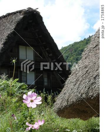 世界遺産・白川郷 世界遺産・白川郷 1758865
