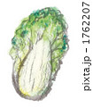 白菜 白菜 1762207