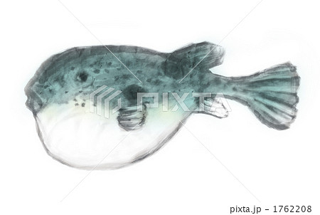 フグ フグ 1762208