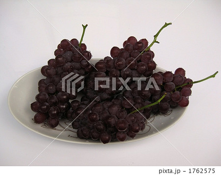 里山辺のデラウェア 1762575